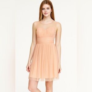 Women's Short Sleeveless Peach Sheer Neck Dress. SZ med. Whimsical